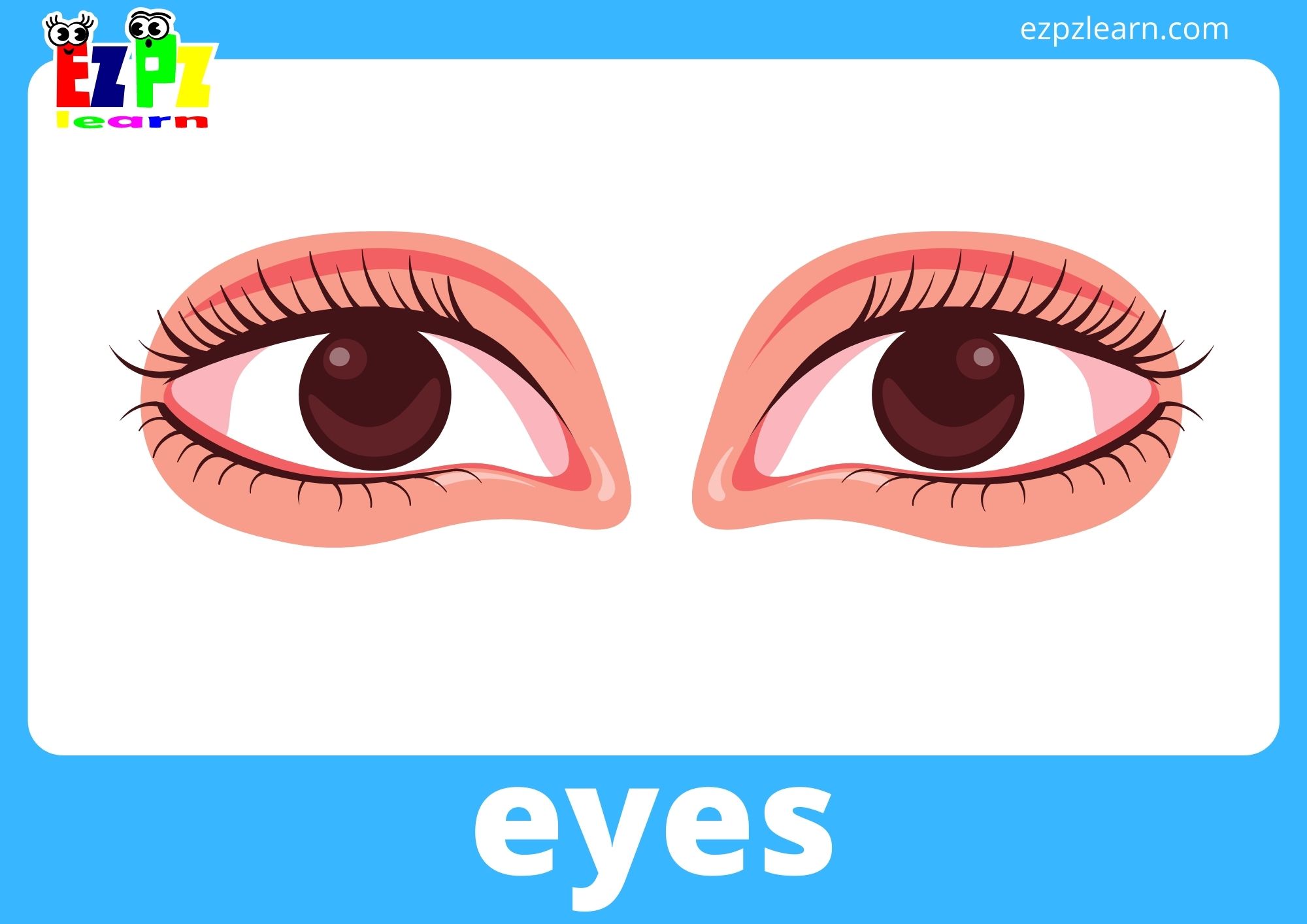 eyes